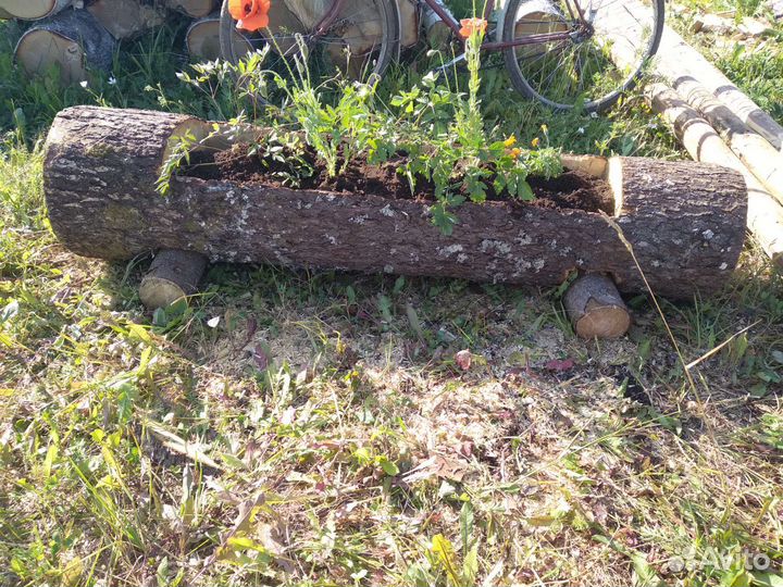 Цветник- бревно