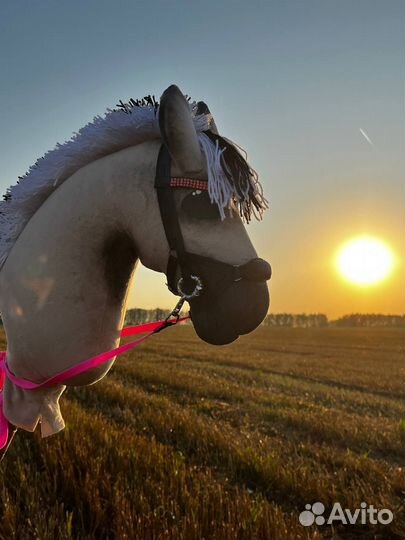 Хоббихорсинг