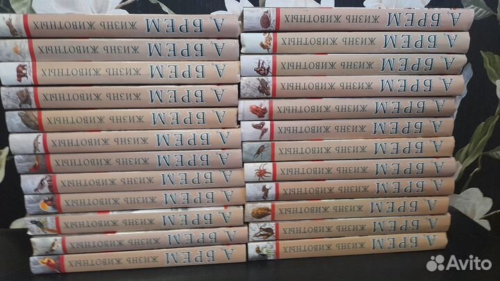 Книги Альфред Брем жизнь животных