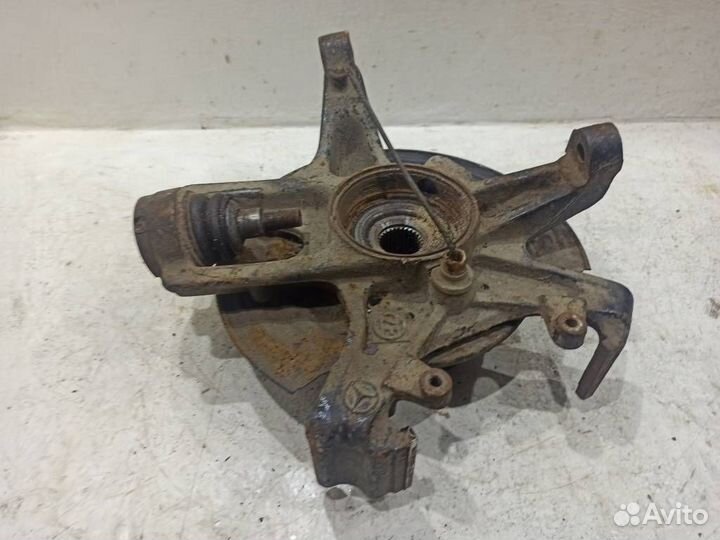 Кулак задний левый