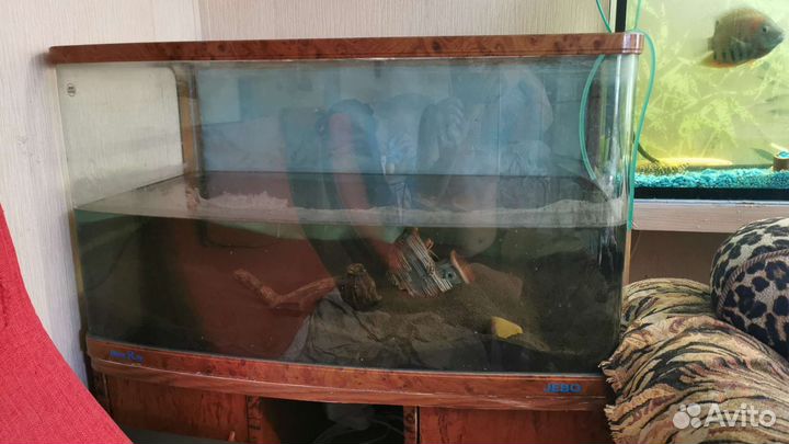 Аквариум