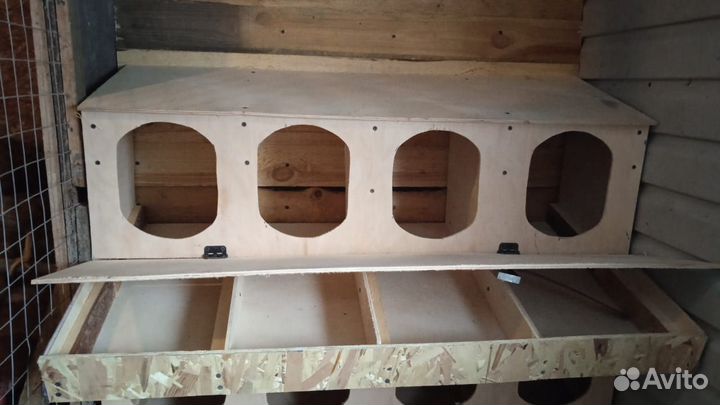 Гнездо для кур с яйцесборником