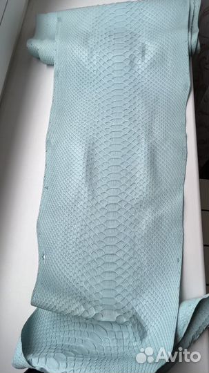 Шкурка питона