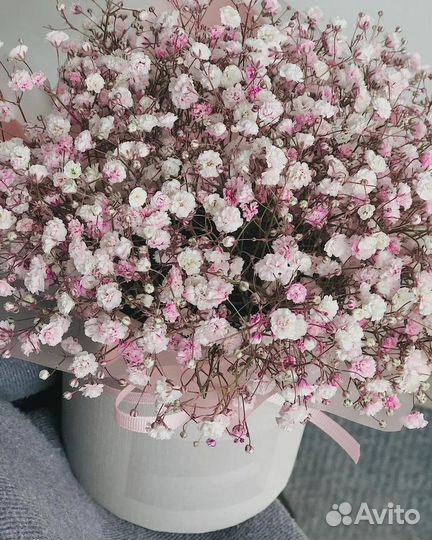 Композиции Гипсофилы (разные цвета)