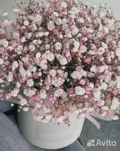 Композиции Гипсофилы (разные цвета)