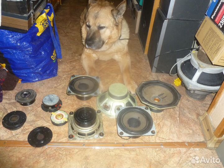 Динамики от акустики со времен СССР