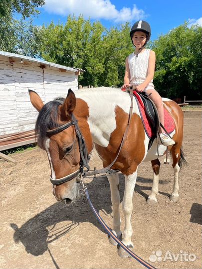 Конные прогулки, катание, обучение верховой езде