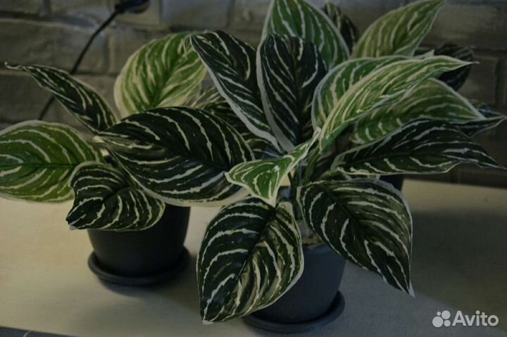 Искусственные цветы в горшках