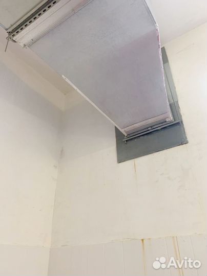 Удаление/ Обработка Плесени/ Дезинфекция