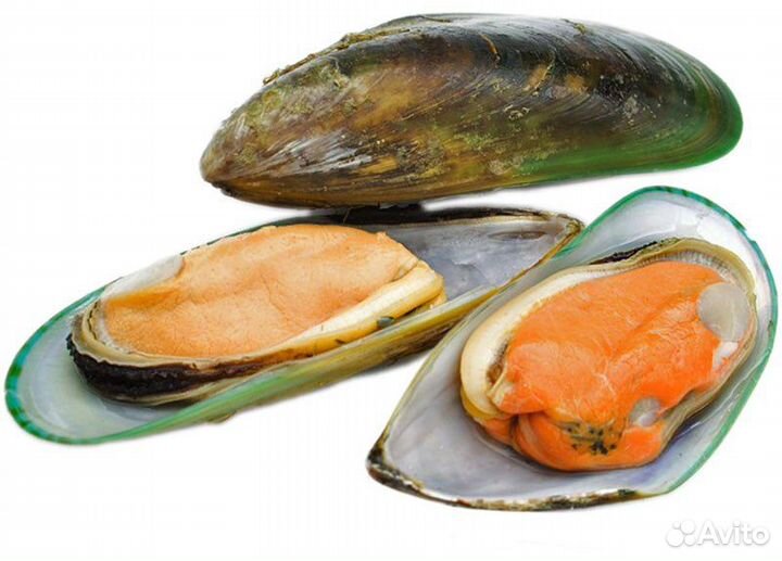 Мидии Киви в полустворках 1кг