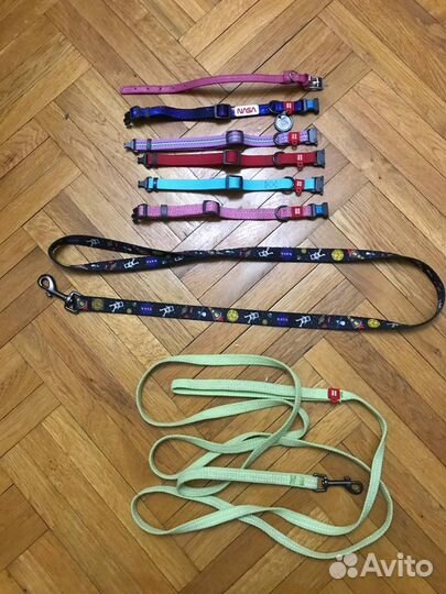 Амуниция для собак