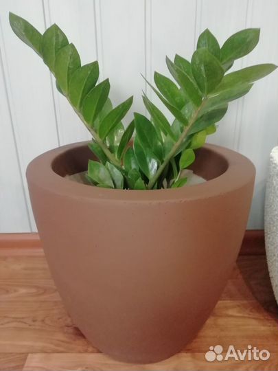 Вазон бетонный Бонсай