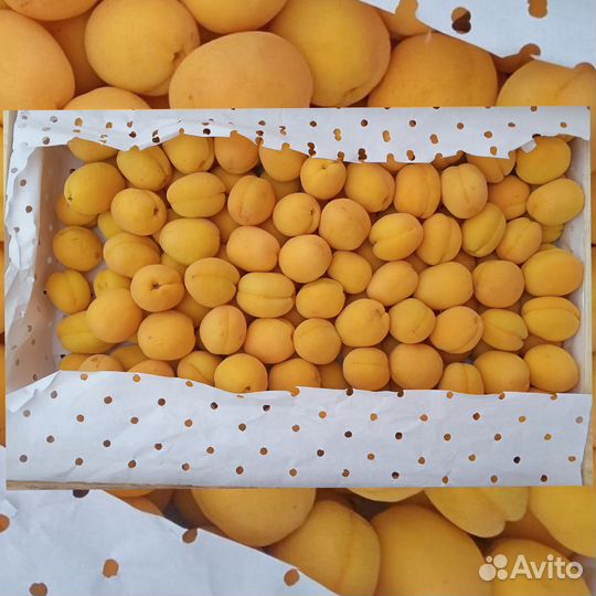 Ящик абрикосов 6-7кг / клубника / малина