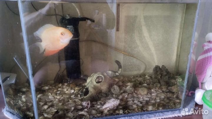 Аквариум панорамный.100 литров.Усиленный