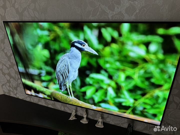 Телевизор oled55B6V SmartTV