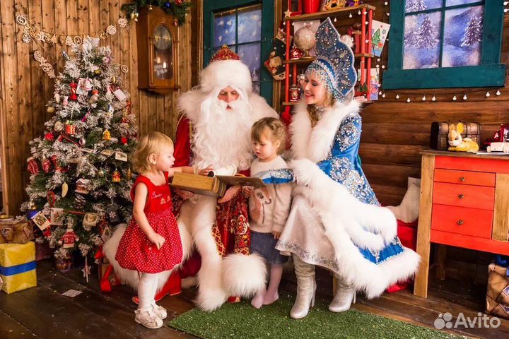 VIP Дед Мороз и Снегурочка