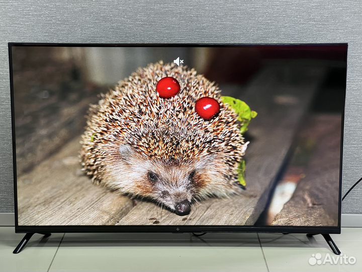 Телевизор 43