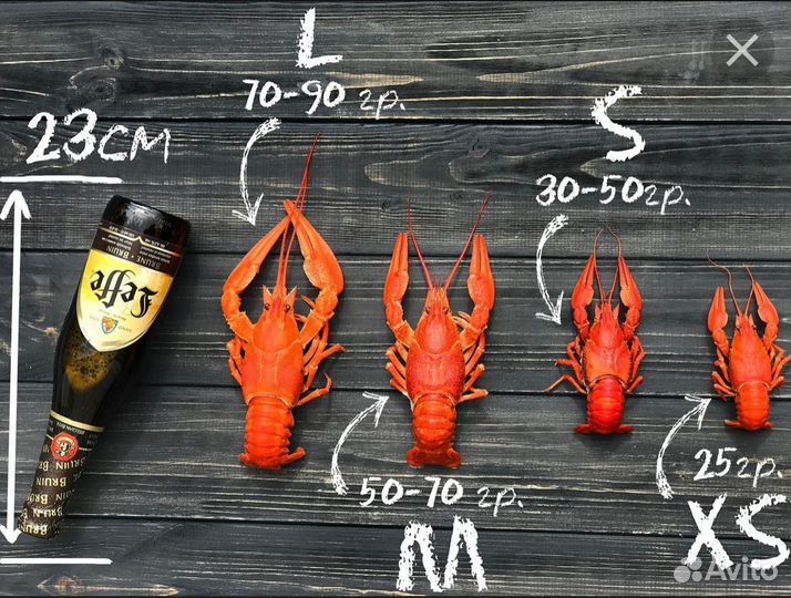 Свежие раки