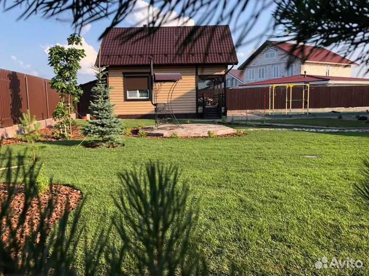 Рулонный газон, укладка, продажа