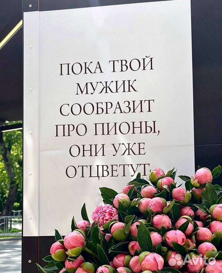 Пионы сортовые на срезку