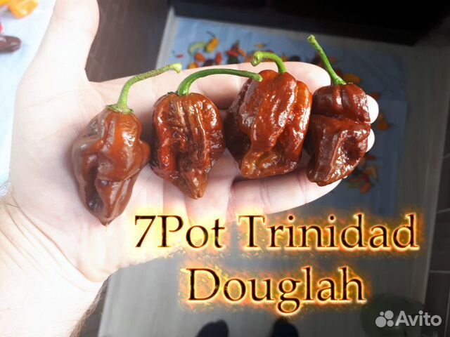 Хабанеро и другие острые перцы(Семена)