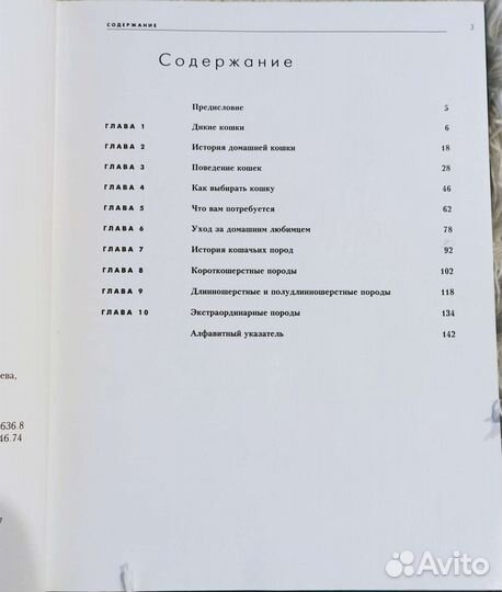 Подарочный вариант для любителей кошек