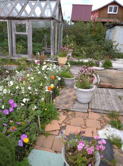 Дом 40,6 м² на участке 7,2 сот.