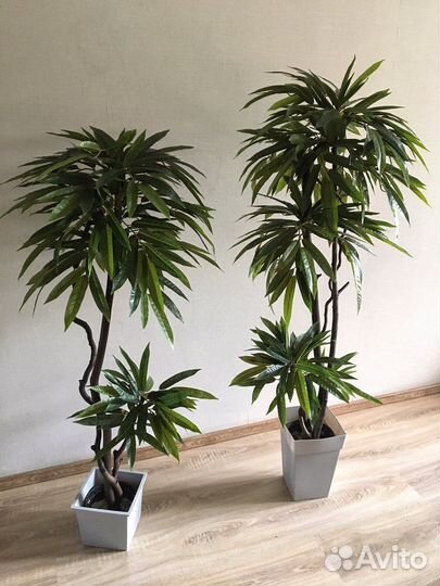 Искусственное дерево Манго