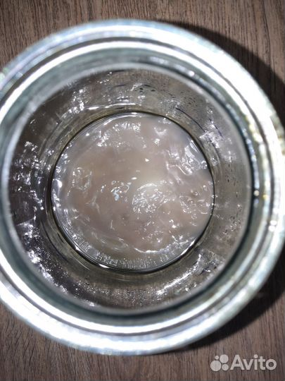 Чайный Гриб здоровье