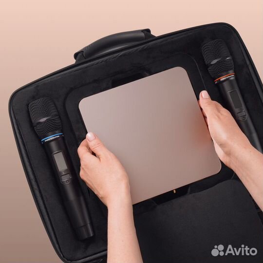 Караоке Evobox Plus золото