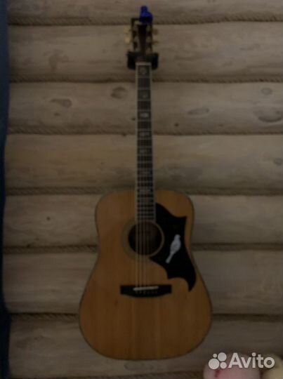 Аккустическая гитара morris W 40 japan