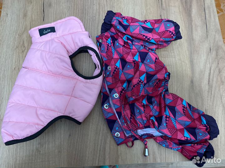 Куртка и комбинезон для собаки размер s / 3-4,5 кг