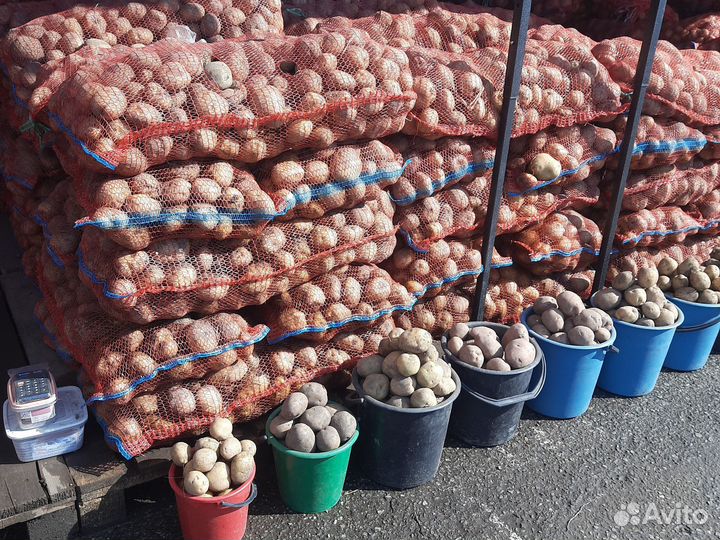 Продам картофель доставка бесплатно