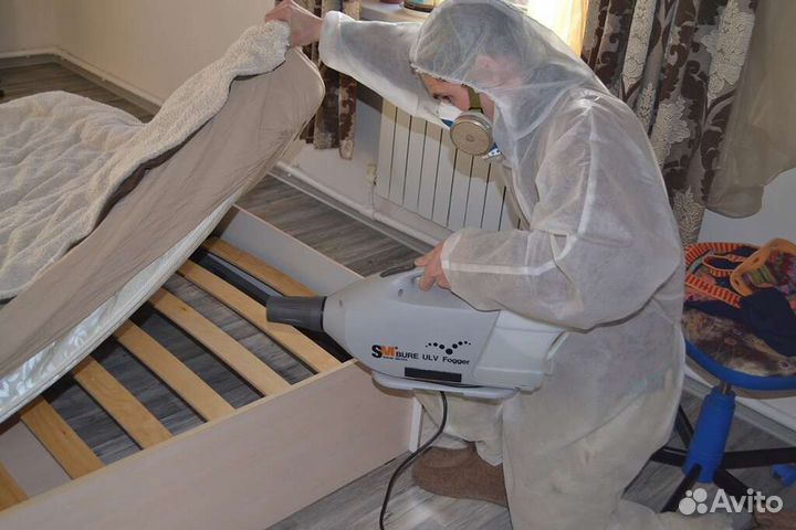 Уничтожение Тараканов Клопов Клещей Муравьев Ос