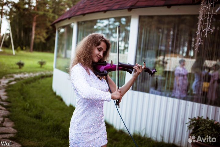 Скрипка на праздник