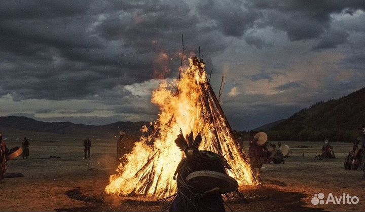 Чай пуэр Бодрость духа бдр9749