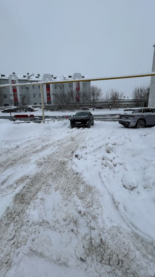 EXEED RX: фото владельца