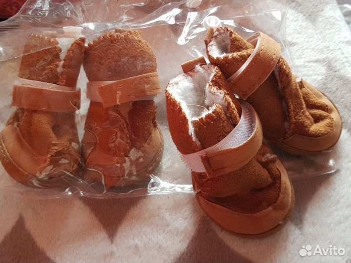 Обувь для собак мелких пород