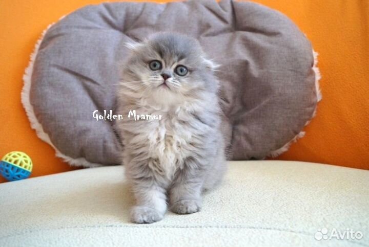 Супер ласковая девочка