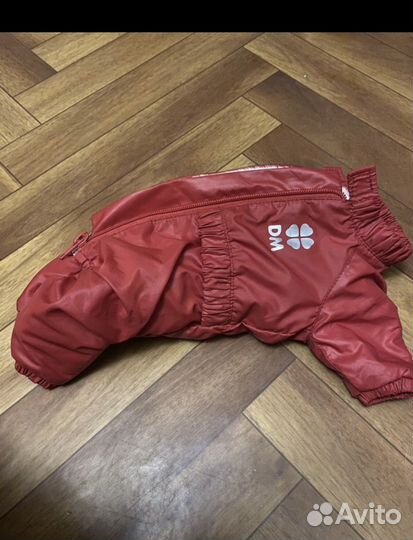 Одежда для собак мелких пород