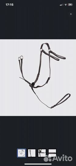 Конный спорт