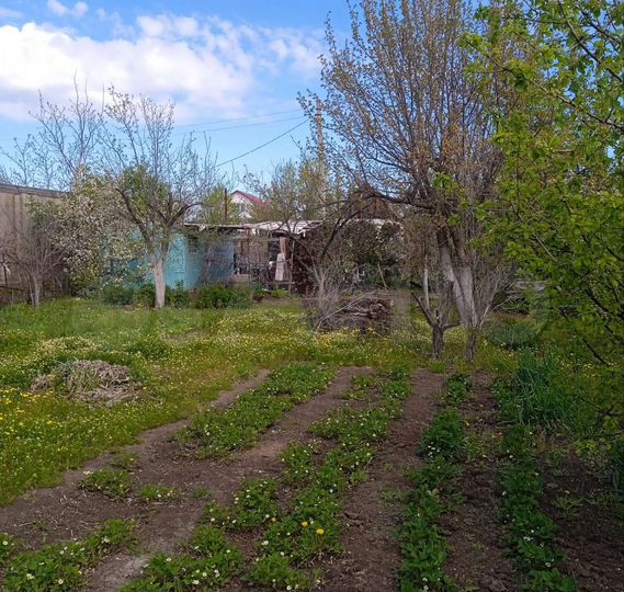 Дача 20 м² на участке 6 сот.