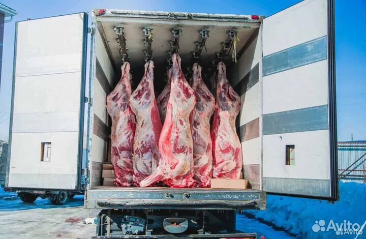 Инвестиции в действующий бизнес, доход 17787