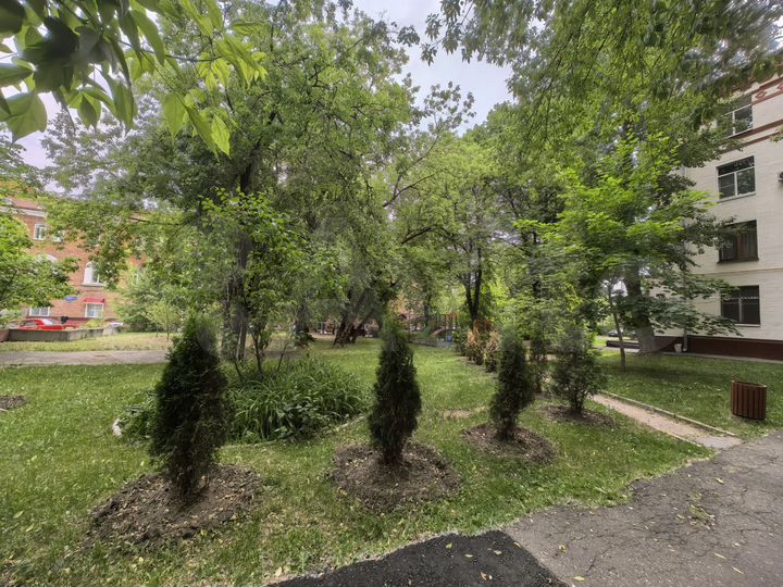 2-к. квартира, 54,2 м², 2/4 эт.