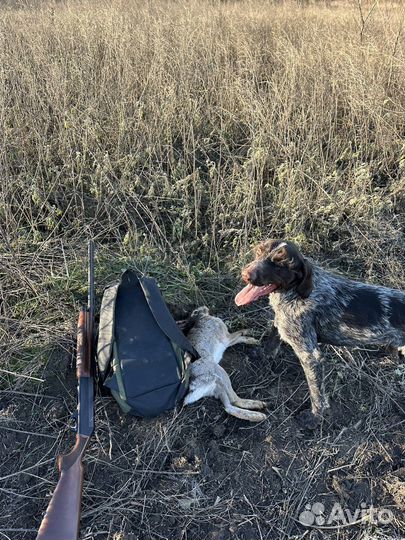 Дратхар вязка