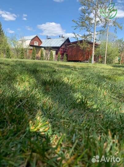 Рулонный газон от производителя