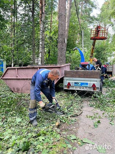 Измельчение веток. Дробилка в аренду