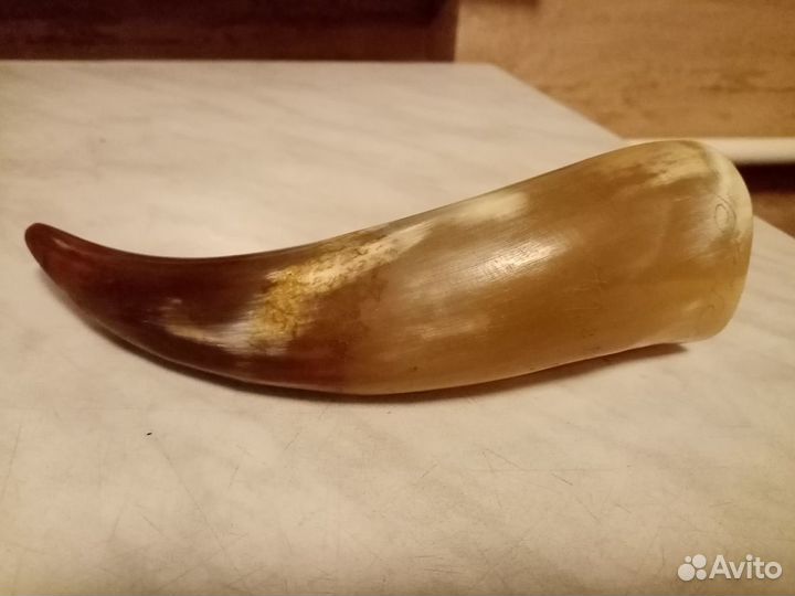 Костяной рог