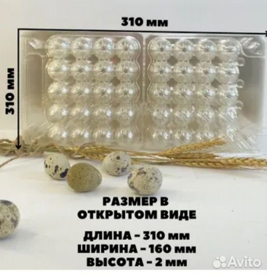 Упаковка для перепелиных яиц