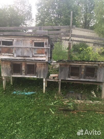 Клетка для кролика